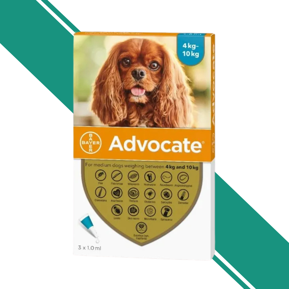 Advocate Spot-On Treatment for Medium Dogs (4 to 10kg)